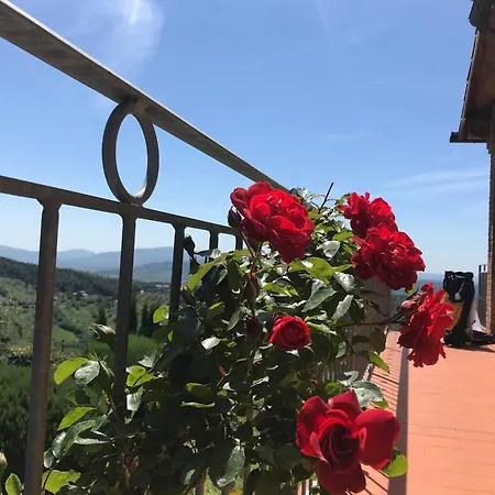 Hello Tuscany Apartment Riparbella